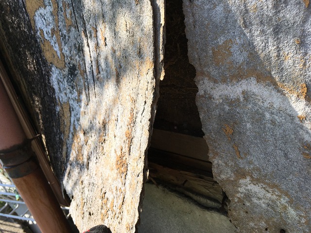 外壁の下端部がめくれている